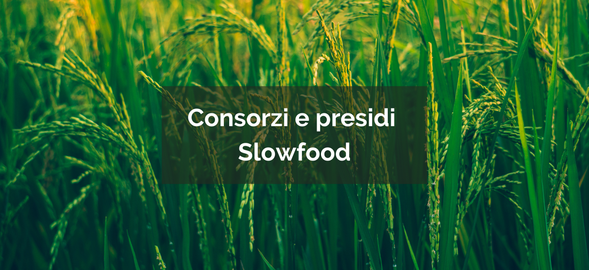Consorzi e Presidi Slow Food: chi partecipa?